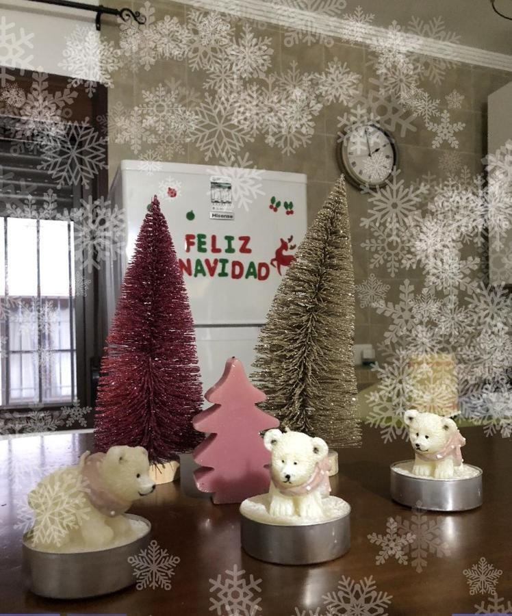 Apartamento Rural In&Ma-La Vida Es Hoy 格拉茨莱马 外观 照片